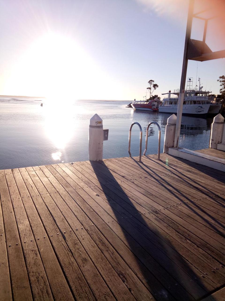 The Husky House Or Little Husky Studio Suite Huskisson Εξωτερικό φωτογραφία